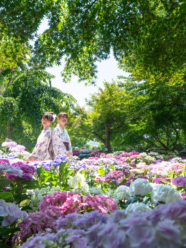 💚ハートの空と紫陽花が撮れる絶景カフェ☕✧