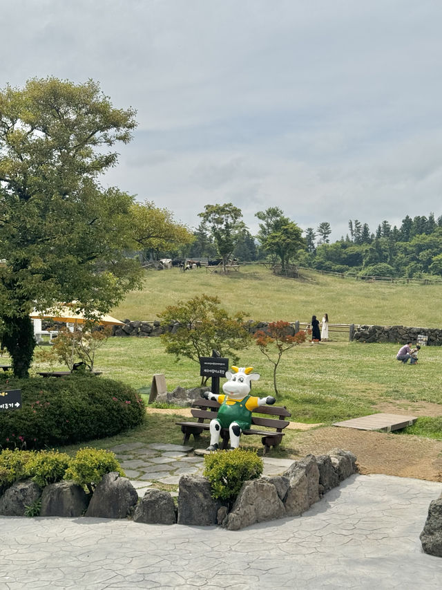 귀여운 젖소들을 아주 가까이에서 볼 수 있는 이색 목장 ✨