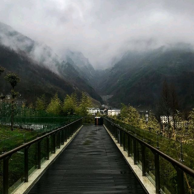 臥龍中華大熊貓苑神樹坪基地