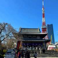 增上寺-600年歷史古寺與東京鐵塔相互輝映