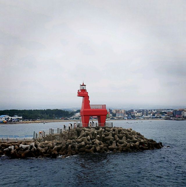 🏖여름엔 시원한 제주 순옥이네 물회🧊