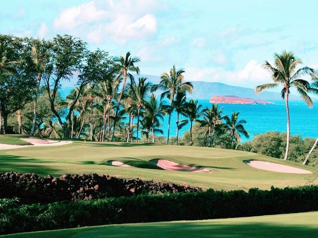 🏖️ Sun & Sea at Wailea Beach Resort