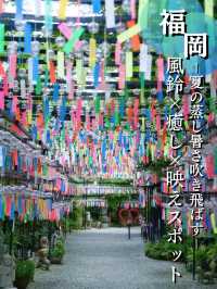 無料かよ‼️13,000個の風鈴がお出迎え✨✨映えに気合い入ってる風鈴寺🎐