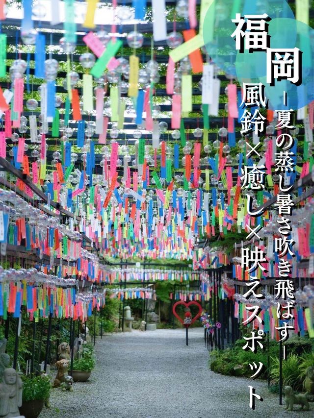 無料かよ‼️13,000個の風鈴がお出迎え✨✨映えに気合い入ってる風鈴寺🎐