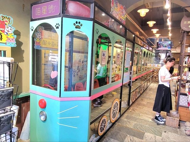 廈門貓咪博物館