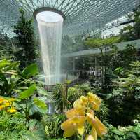 Tropical Oasis at Changi