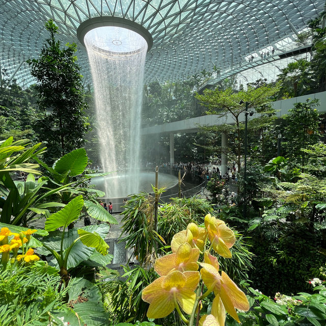 Tropical Oasis at Changi