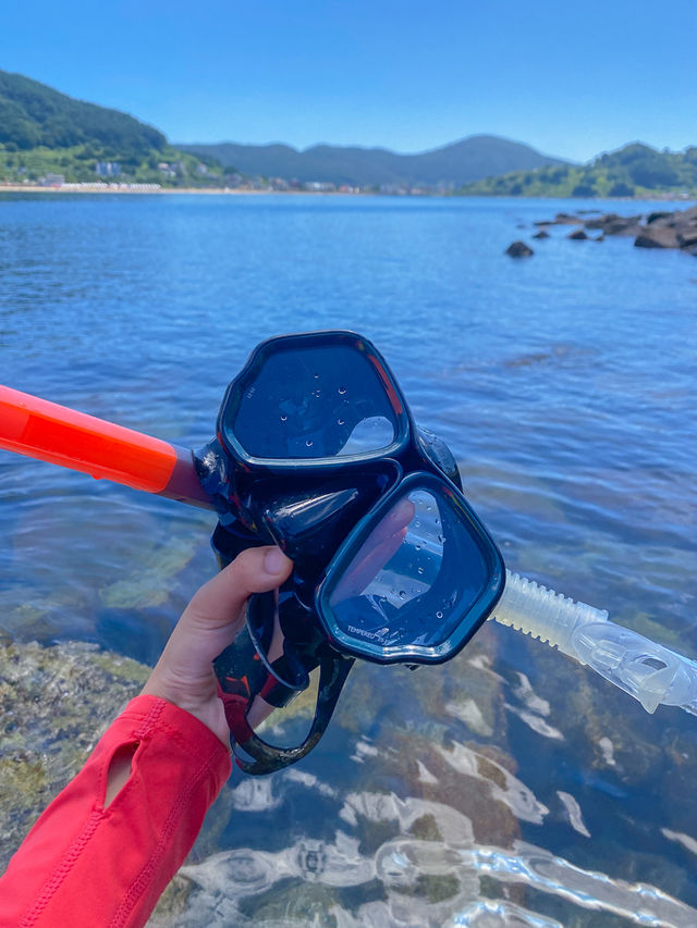 이번 여름 무조건 가봐야하는 거제도 스노쿨링 스팟 📍윤돌섬