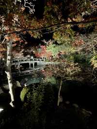 〜京都府〜紅葉の名所永観堂(えいかんどう)