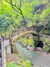 🇯🇵 北九州高千穗 一日自駕遊攻略 🌳大自然之旅⛰️