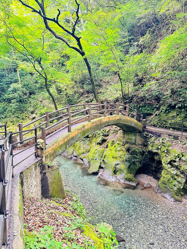 🇯🇵 北九州高千穗 一日自駕遊攻略 🌳大自然之旅⛰️