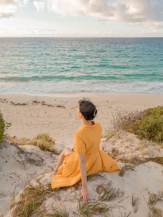 📍Hamelin Bay