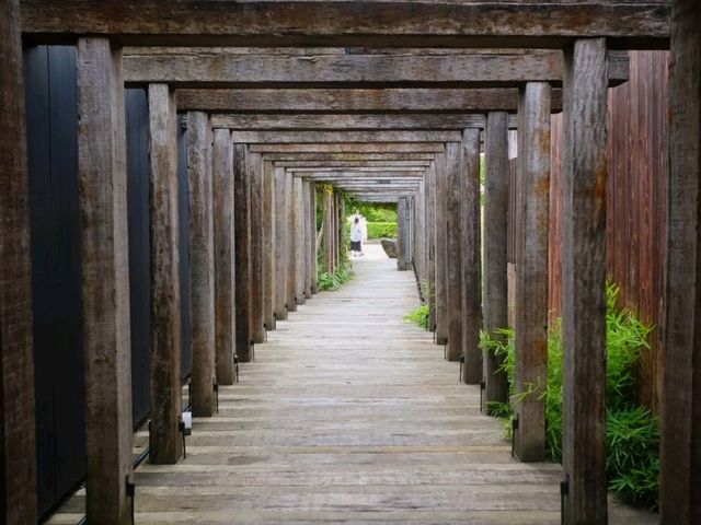 【岩瀬浜】(富山県富山市 旧国名:越中) 【岩瀬浜】(富山県富山市 旧国名:越中)