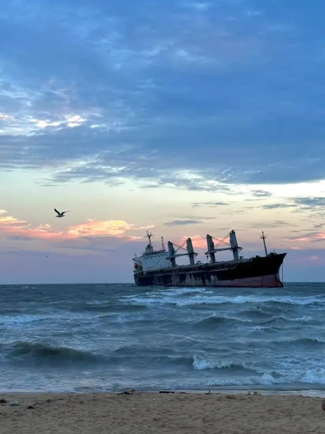 Beer, Food, Music: Start Your Weihai Carnival Journey!