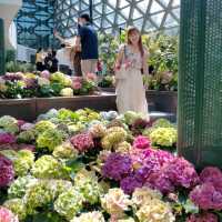 Miracle of Natural Rayong