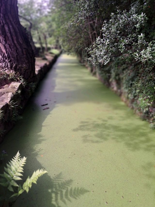 【香川・高松】栗林公園で日本の夏を堪能♪