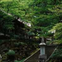 孔大寺神社 ⛩️ 平靜祥和