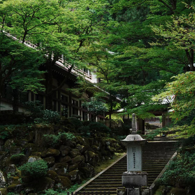 孔大寺神社 ⛩️ 平靜祥和