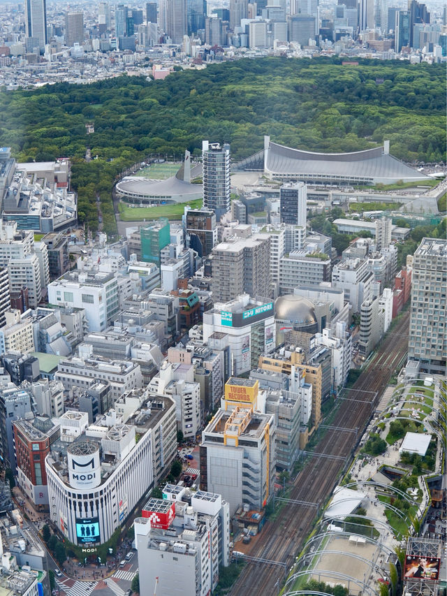 東京 | 終於朝聖shibuya sky 飽覽360度東京城市景😍