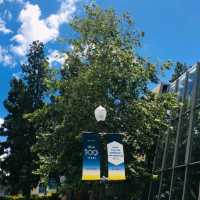 미국의 캠퍼스 생활을 느낄 수있는 , UCLA 대학교🏫