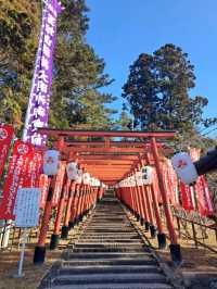 【王地山 まけきらい稲荷:兵庫県丹波篠山市】鳥居が素晴らしい美しい神社⛩️