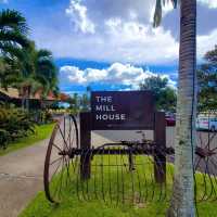 Maui, Hawaii: Paradise in the Pacific