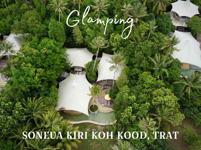 ที่พัก Glamping สุดลักชูว์⛺️ที่ดีและแพงที่สุดในโลก