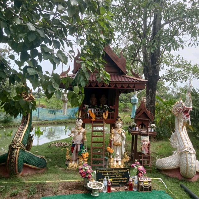 วังมนตรา องค์ดำแสนสิริจันทรา อ.เดชอุดม