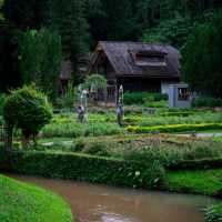 ที่พักเชียงใหม่ ท่ามกลางสวน แบะลำธาร