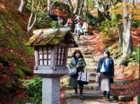 วัดโจจัคคุจิ (Jojakkoji Temple)