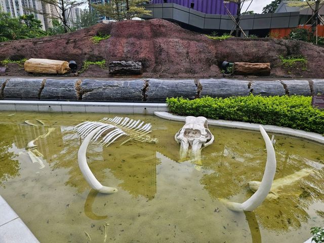 全港獨一無二的木化石公園