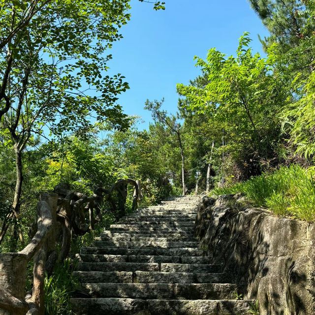 🌲 棲蘭森林遊樂區～自然風光滿滿