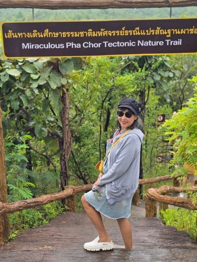 ผาช่อ อุทยานแห่งชาติแม่วาง