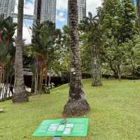 KLCC Park – A Serene Escape Amidst the City