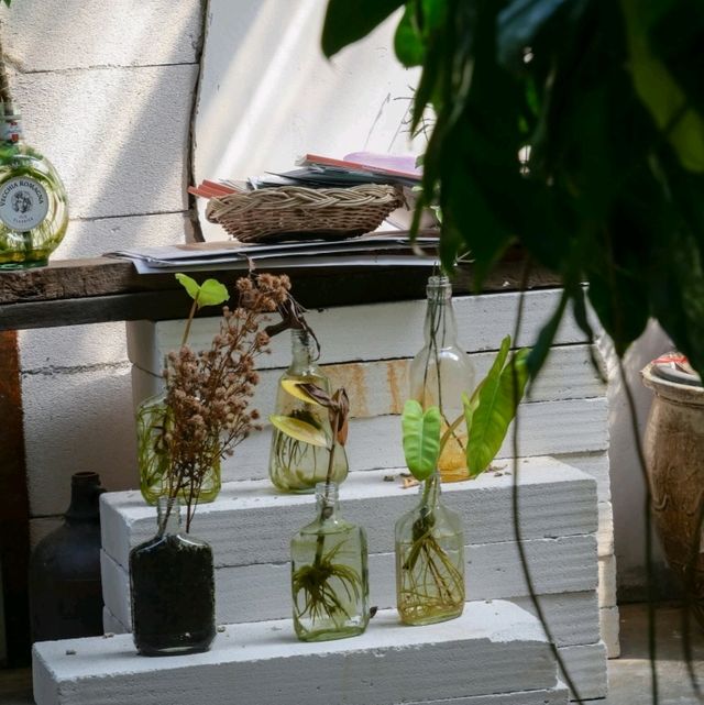  "Jungfood" โฮมคาเฟ่สุดที่น่ารักแบบป่ากลางเมือง
