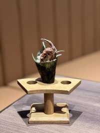 《銅鑼灣樓上高質日本菜》