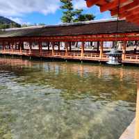 【広島】🇯🇵 嚴島神社