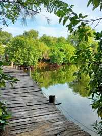 Slow life Camping ที่พักเงียบสงบริมทะเล