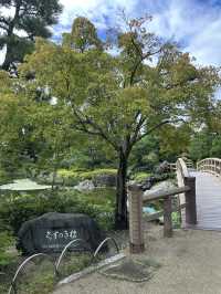 名古屋日本特色的庭園 「白鳥庭園」