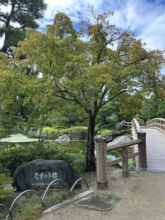 名古屋日本特色的庭園 「白鳥庭園」