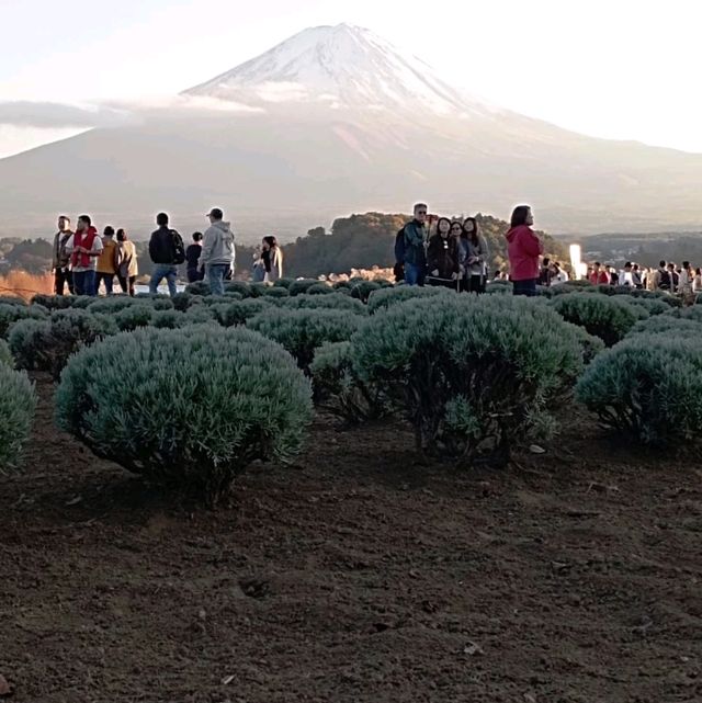 Hidden Gems Around Mount Fuji: A Journey of Discovery