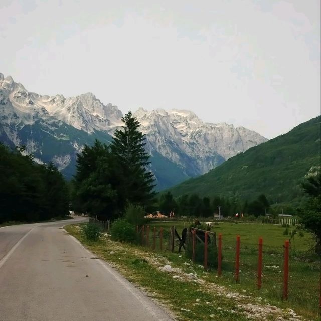【アルバニア🇦🇱】世界の絶景🏔️テス村