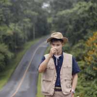 อุทยานแห่งชาติเขาใหญ่ | KHAO YAI National Park 