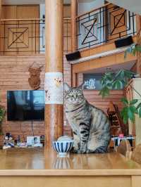 The Most Memorable Place in Hokkaido