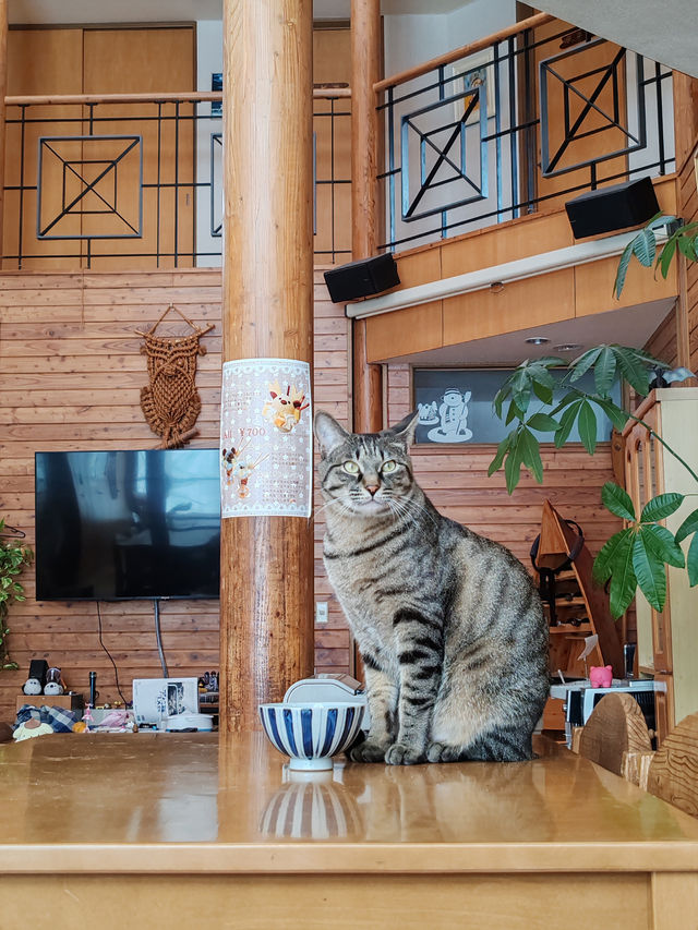 The Most Memorable Place in Hokkaido