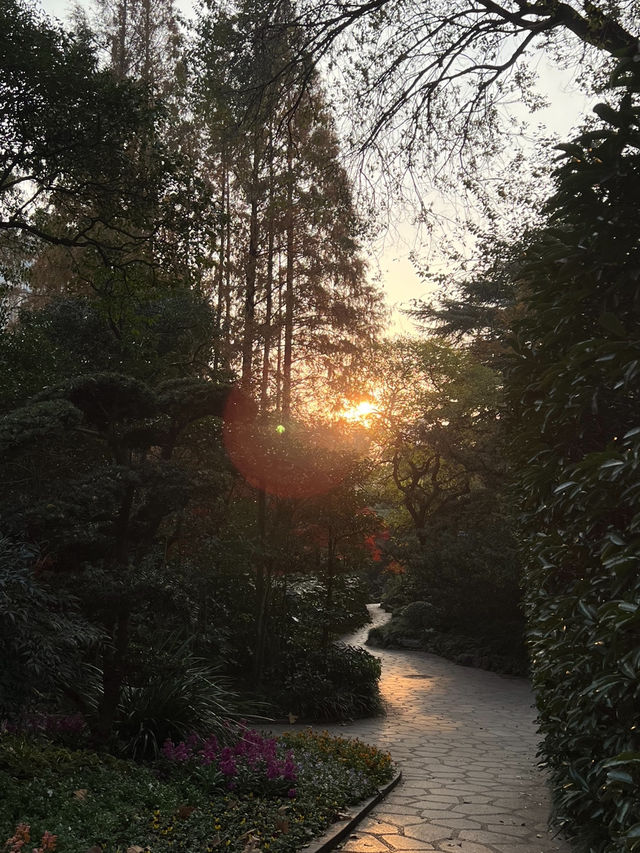 가을엔 무조건 가야할 📍상해 중산공원(中山公园)🍂🍁