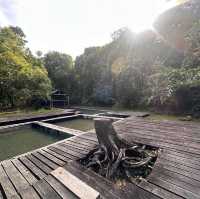 Local Hot Spring Surrounded By Nature!