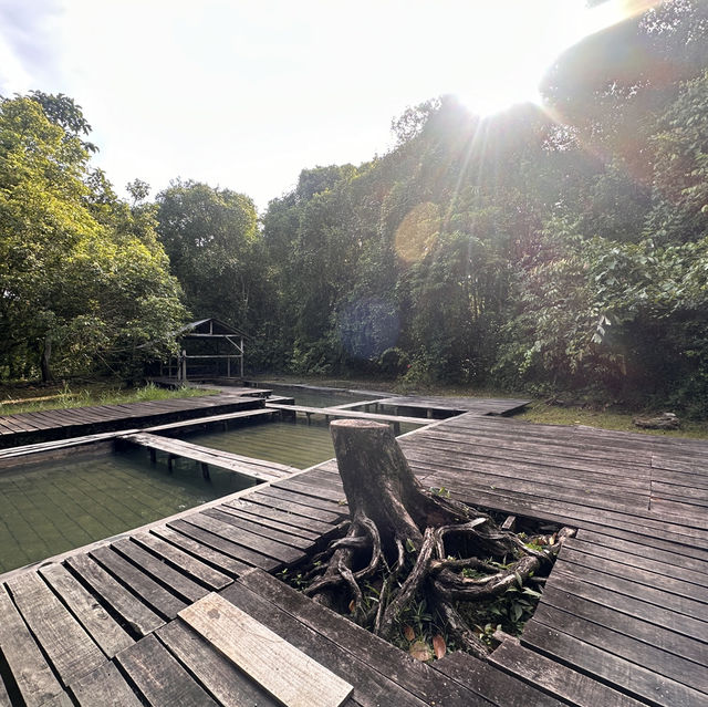 Local Hot Spring Surrounded By Nature!