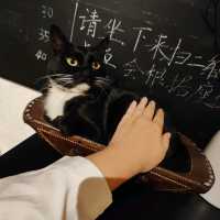 舊天堂書店