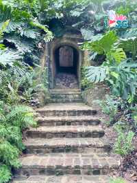 🇸🇬 Berry welcome to Fort Canning Park